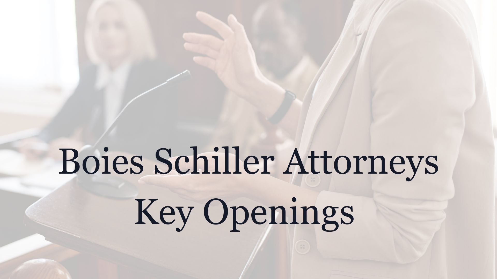 Boies Schiller Attorneys