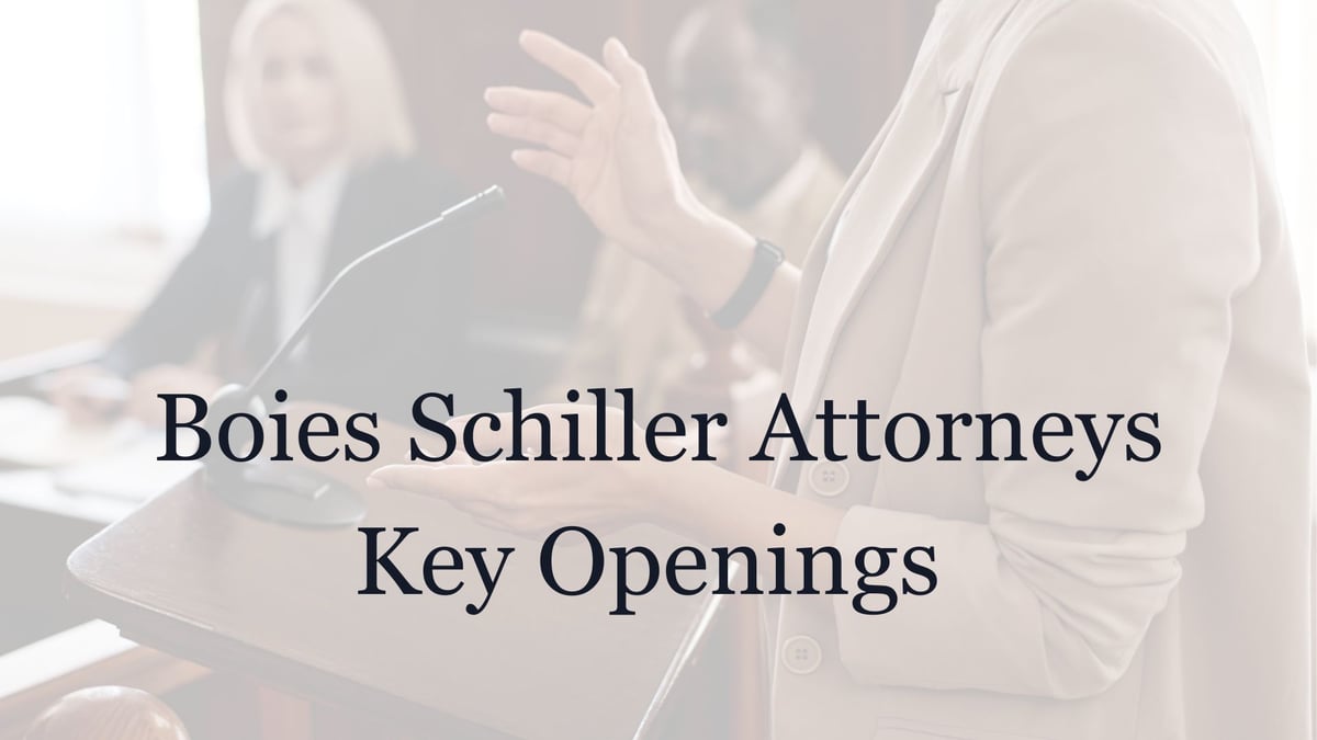 Boies Schiller Attorneys